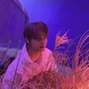 Jun Seventeen