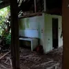 Rumah Selebritis