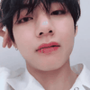 V BTS Boyfriend Material