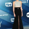Red Carpet SAG Awards 2020