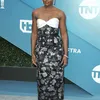 Red Carpet SAG Awards 2020
