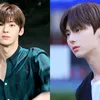 Idol 1995