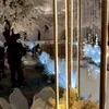 akad nikah ifan seventeen citra monica