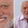 Hide The Pain Harold