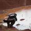 Judika