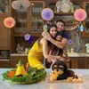 Artis ultah di tengah corona