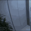 foto-foto gif game kocak di Jepang