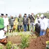 Hanna Kirana Pemakaman Ilyas Bachtiar