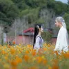 THE LEGEND OF SHEN LI