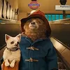 film yang cocok untuk anak non animasi PADDINGTON 