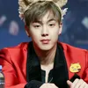Idol Mirip Hewan