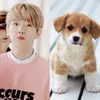Idol Mirip Hewan