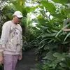 Rumah Sharena Gunawan dan Ryan Delon
