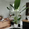Rumah Sharena Gunawan dan Ryan Delon