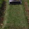 Potret Kondisi Makam Para Artis Tanah Air