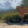 Liburan Rachel Vennya