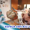 Ammar Zoni dan Irish Bella