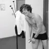 Harrys Styles