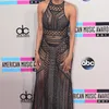 AMA 2013