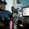 50 Cent