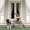 maximus anjing nia ramadhani