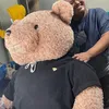 rizky billar teddy bear lesti