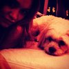Hilary Duff juga pecinta anjing. Foto ini diunggah dalam akun instagramnya. Lihat betapa lucunya si kecil Milly.