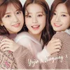 bermuda visual