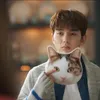 bintang drama korea