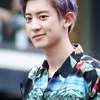 Lesung Pipi Chanyeol