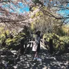 instagram.com/giselacindy12
