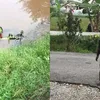 foto unik, foto aneh, foto lucu, foto keren, viral