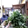 berita arumi bachsin, kabar arumi bachsin