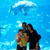 almeer anak lucky perdana