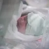 Baby Ali Anak Vebby Palwinta