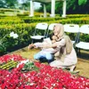bunga citra lestari