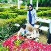 bunga citra lestari