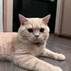 Chicco Jerikho Peluk Putri Marino