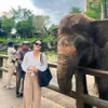 Faby Marcelia bersama gajah