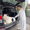 Irfan Hakim Dibawakan Kambing Oleh Anwar BAB