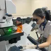 Nong Poy Transgender Tercantik