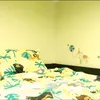 Kamar Betrand Peto