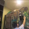 Kamar Betrand Peto