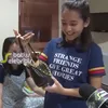 DARI JENDELA SMP