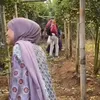 Kebun Jeruk Milik Lesti