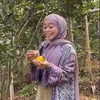 Kebun Jeruk Milik Lesti
