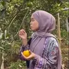 Kebun Jeruk Milik Lesti