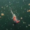 Kirana Larasati berenang bareng ubur-ubur