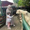 Selama di sana, berbagai aktivitas dilakukan Shireen dan anak-anak salah satunya memberi makan hewan. Putri Shireen ini bahkan jadi suka banget sama domba lho!