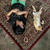 Nirina Zubir Pelihara Puluhan Kucing